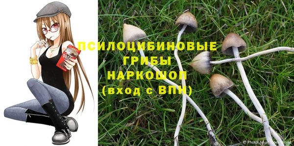 кокаин премиум Белокуриха