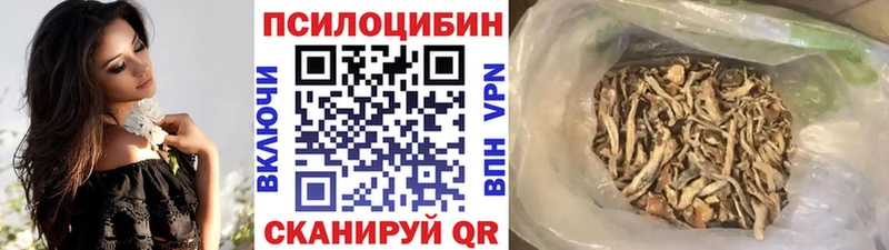 kraken   хочу наркоту  Фурманов  Галлюциногенные грибы прущие грибы 